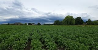 Regenfront richting het oosten